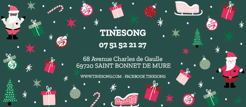 TineSong cours de chant et bien-être par la musique Lyon 69, Saint Laurent de Mure et 38